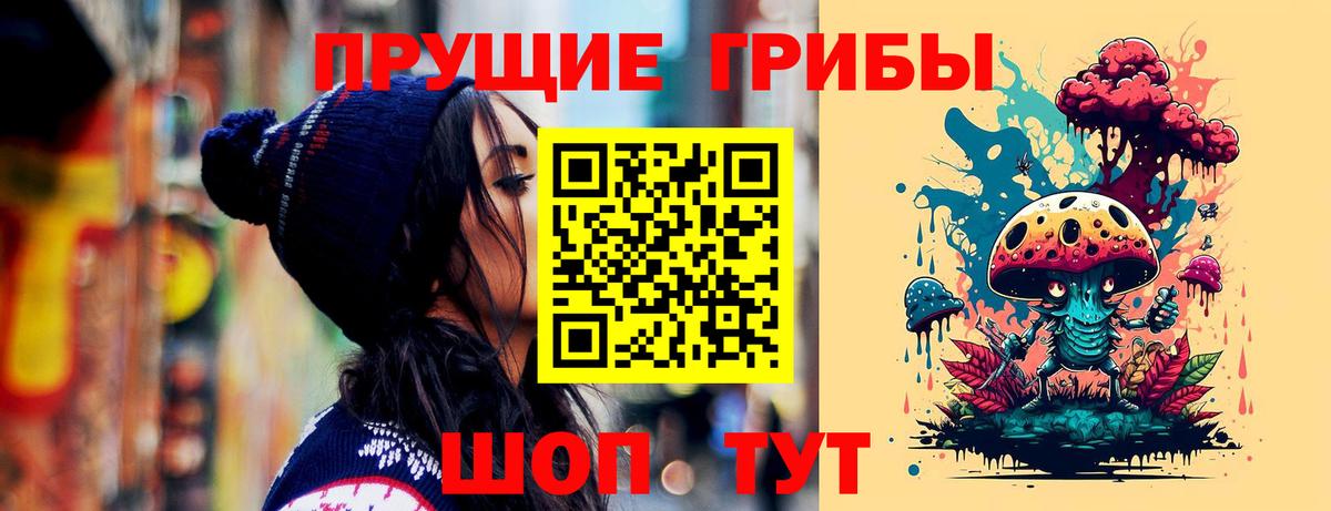 Псилоцибиновые грибы прущие грибы  Вход с VPN  Псилоцибиновые грибы GOLDEN TEACHER  Урюпинск 